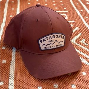 Patagonia Trucker Hat
